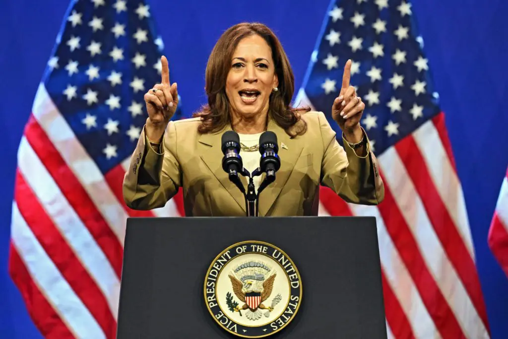 US Election 2024 ‘Why I Will Legalize Marijuana Kamala Harris 365 News